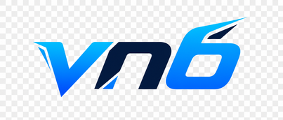 Logo vn6